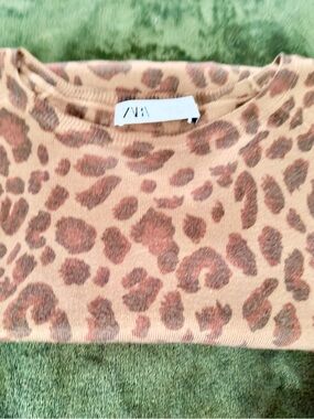 Zara Beige and Brown Leopard Print Crewneck Top